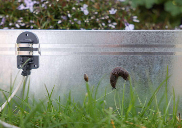 KERBL SnailStop Elektrischer Schneckenzaun